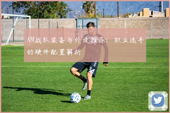 AM战队装备与外设推荐：职业选手的硬件配置解析