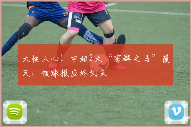 大快人心！中超2大“害群之马”覆灭，假球报应终到来