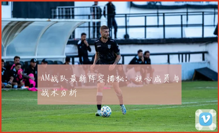 AM战队最新阵容揭秘：核心成员与战术分析