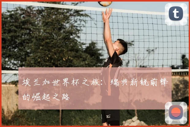 埃兰加世界杯之旅：瑞典新锐前锋的崛起之路